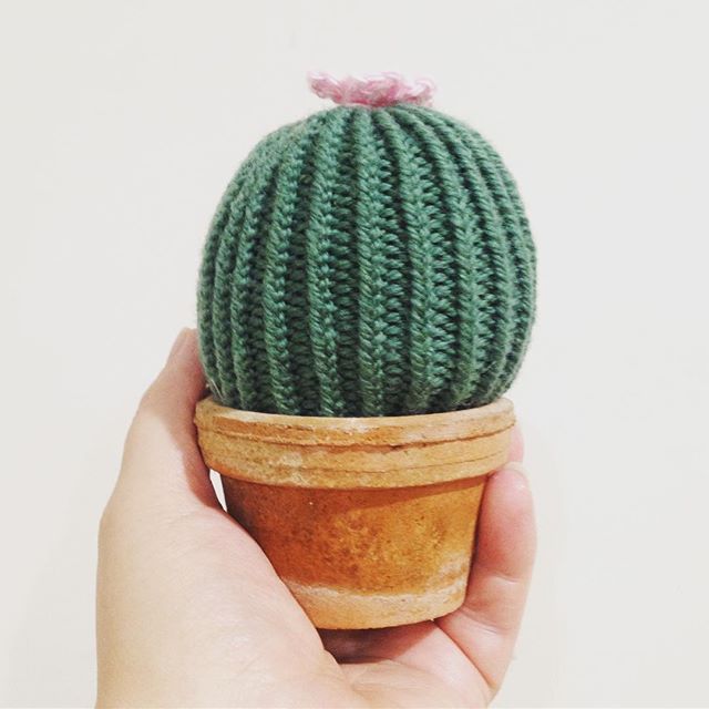 16228906_1354777887929080_188725888097976320_n