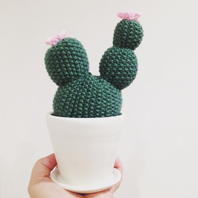 16788497_109666419555611_9083081611645288448_n