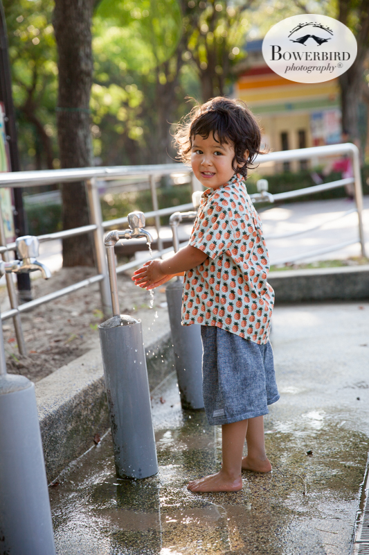 0005©+Bowerbird+Photography+2018