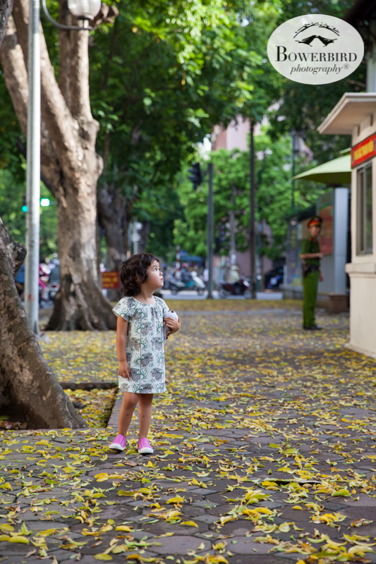 0034©+Bowerbird+Photography+2018